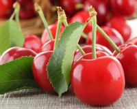 C'est le temps des cerises