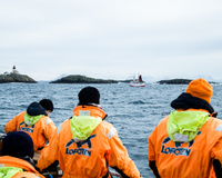 Reportage Photos sur mon voyage en Norvège, le pays du cabillaud Skrei