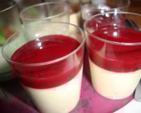 Panacotta à la vanille et à la framboise