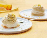 Pavlola a la chicorée