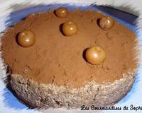 J'ai adapté cette recette à partir du livre "tout chocolat". C'était vraiment délicieux et très léger, tout le monde a bien apprécié. ma déco est loin d'être géniale…