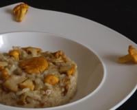 Risotto aux girolles