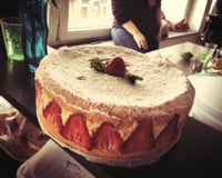 Fraisier- Framboisier