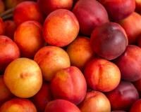 Voici pourquoi il est plus judicieux de choisir des nectarines imparfaites sur les étals !