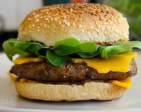 Hamburger avec cheddar, boeuf frais et mayonnaise au citron