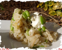 Risotto Feves, pignons, sésame