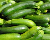 Est-ce qu’on peut manger des courgettes tous les jours ?