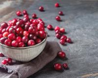 pourquoi les cranberries sont-elles si bonnes pour notre santé ?