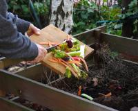 Quels aliments ne faut-il surtout pas mettre dans son compost ?