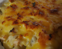 Chicon au gratin