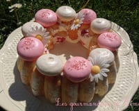 Charlotte légère aux fraises