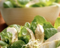 Emincé de lapin sur un lit de mâche et alfafa de luzerne