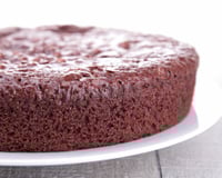 Gâteau au chocolat riche en beurre