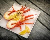 langoustes