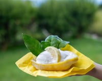 Ce dessert est aussi bon que beau ! Un sorbet citron-fraises présenté directement dans le fruit