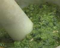 Pesto