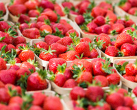 Fraises, framboises : l’astuce pour choisir la meilleure barquette en supermarché !