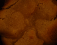 Fleur de crème d'amande à l'abricot