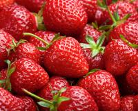 Conservez 2 fois plus longtemps vos fraises avec cette astuce incroyable