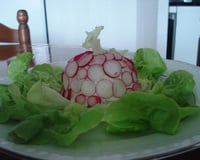 Bavarois de chevre au radis