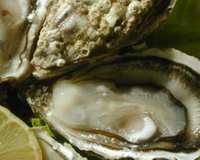 Joël MESLIN, conseil culinaire à Montreuil sur Lozon.