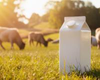 Votre brique de lait peut devenir plus utile et efficace qu’une pince à linge pour fermer vos paquets de pâtes ou de riz !