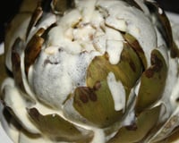 Artichauts nappés de crème légère au citron