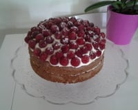 Tarte mousse chocolat  framboises