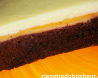 Dans les faits, je voulais faire un moelleux au chocolat blanc, avec dessus, une couche de crème comme celle que l'on trouve dans les tartes au citron, et un glaçage…
