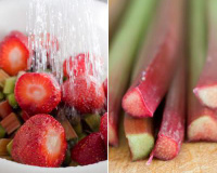 Charlotte à la fraise et à la rhubarbe