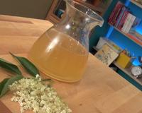 Le sureau est un arbuste avec des fleurs blanches, on utilise ses fleurs pour préparer des confitures mais aussi du sirop. Un sirop délicieux, parfait comme…