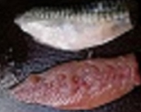 Filets de maquereaux en salade