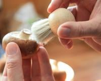 3 cours pour apprendre à cuisiner les champignons