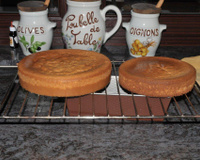 Biscuit pour réaliser un gâteau ou pièce montée