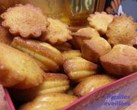Retour en enfance imminent avec ces bonnes madeleines bien vanillées, alvéolées et légères....