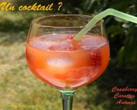 J'ai crée un cocktail très vitaminé avec du nectar de cranberry Caraïbos des carottes et un ananas frais dont j'ai extrait le jus à la centrifugeuse avec une pointe…