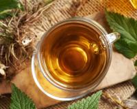Cette plante contient 22 fois plus de calcium que le lait de vache : l’infusion de cette feuille renforce les os et l'immunité !