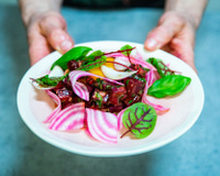 Tartare de betterave, jaune d'œuf mariné