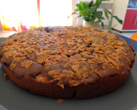 Gateau au chocolat en poudre