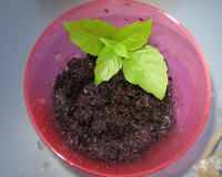 Tapenade express aux olives noires