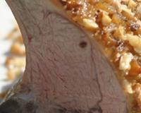 Carré d'agneau de lait des Pyrénées en croute de noix et de marrons du Périgord