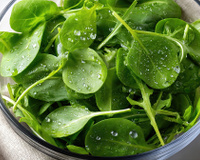 Fièvre, courbatures… Ne consommez surtout pas ces épinards en sachet vendus partout en France contaminés par la Listéria