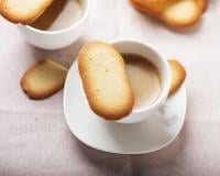 Langues de chat faciles et rapides
