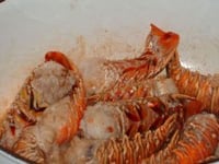 Langoustes à l'armoricaine