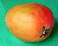 Salade de mangue
