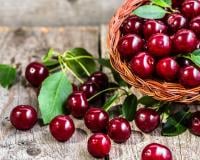 Comment bien conserver ses cerises ?