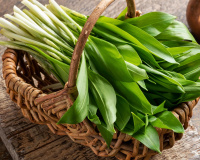 Oublier le pesto ! Voici une manière pour savourer l'ail des ours avec seulement du beurre et du pain