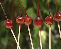 Un décor gourmand et original avec ces jolies noisettes caramélisées.