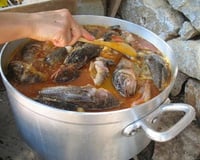 Bouillabaisse