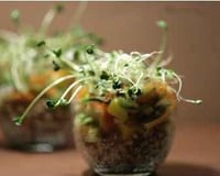 Verrine de quinoa, petite salade de surimi, mangue et graines germées.